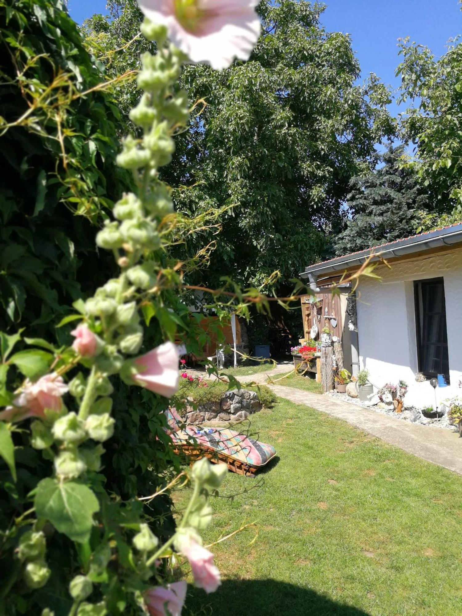 Bungalow Bei Warnemuende Elmenhorst/Lichtenhagen 외부 사진